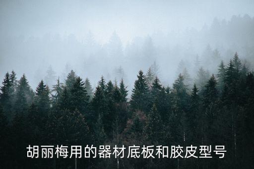 胡麗梅用的器材底板和膠皮型號(hào)