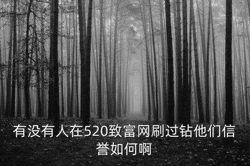 有沒有人在520致富網(wǎng)刷過鉆他們信譽(yù)如何啊