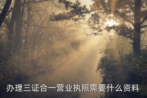 辦理三證合一營業(yè)執(zhí)照需要什么資料