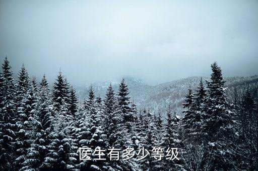 醫(yī)師等級劃分，醫(yī)生有多少等級