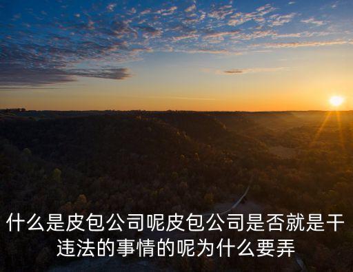 什么是皮包公司呢皮包公司是否就是干違法的事情的呢為什么要弄