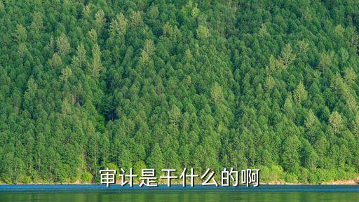 審計(jì)是干什么的啊