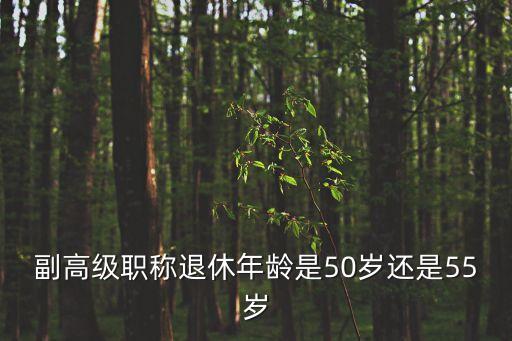副高級職稱退休年齡是50歲還是55歲