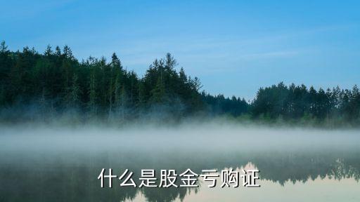 股金證，股金互助會股金證是什么