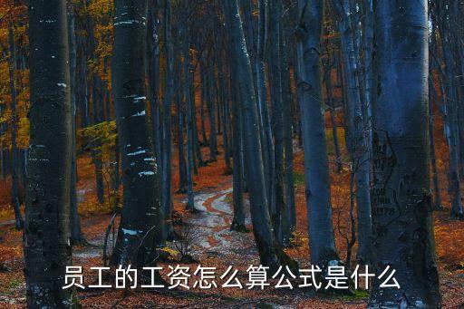 工資計(jì)算公式，薪酬計(jì)算公式公司利潤與薪酬公式和計(jì)算方法