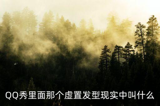 QQ秀里面那個(gè)虛置發(fā)型現(xiàn)實(shí)中叫什么