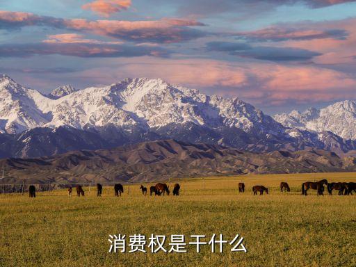 消費權(quán)是干什么