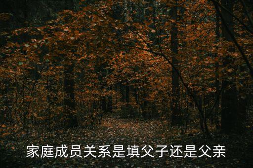 家庭成員關(guān)系是填父子還是父親