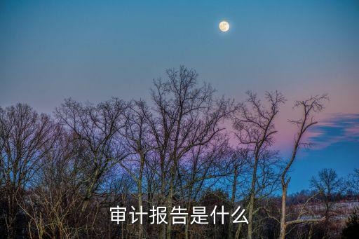 審計報告，審計報告是什么
