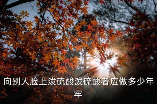 向別人臉上潑硫酸潑硫酸者應(yīng)做多少年牢