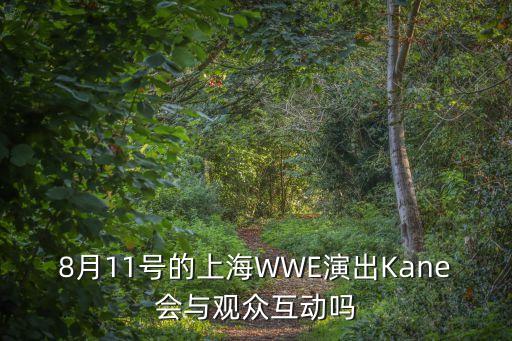 胡少波，8月11號的上海WWE演出Kane會與觀眾互動嗎
