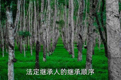 法定繼承人的繼承順序