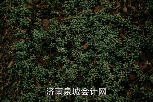 濟(jì)南泉城會計(jì)網(wǎng)