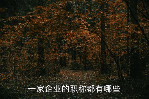 一家企業(yè)的職稱都有哪些