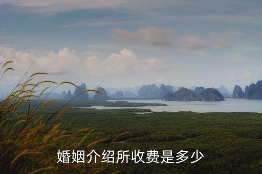 婚姻介紹所收費(fèi)是多少