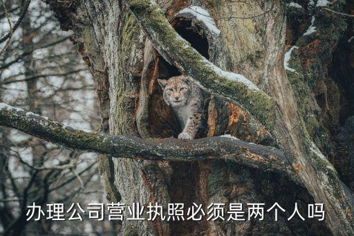 辦理公司營業(yè)執(zhí)照必須是兩個(gè)人嗎