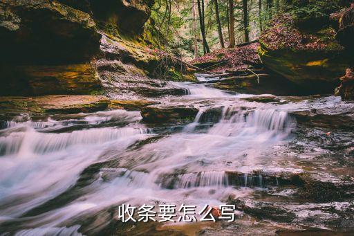 收條范本，收條要怎么寫