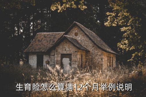 生育險怎么算的,生育津貼怎么算
