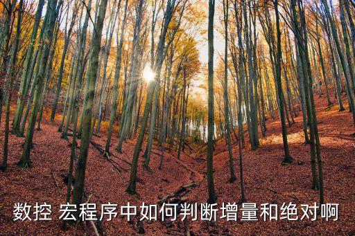 絕對判斷，什么是絕對判斷絕對判斷什么意思絕對判斷的英文例子