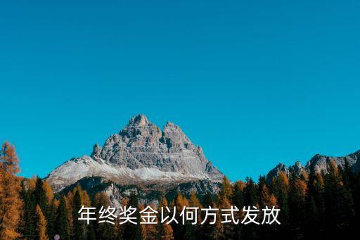 年度獎(jiǎng)金，什么是年終獎(jiǎng)金