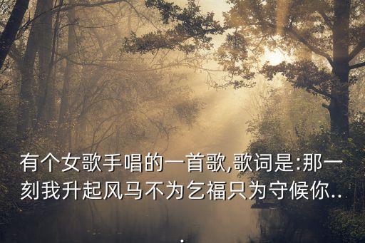 有個女歌手唱的一首歌,歌詞是:那一刻我升起風馬不為乞福只為守候你...