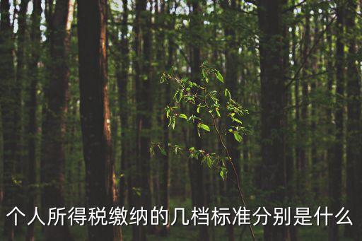 個(gè)人所得稅繳納的幾檔標(biāo)準(zhǔn)分別是什么