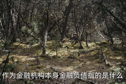 金融負債，金融資產(chǎn)金融負債有哪些