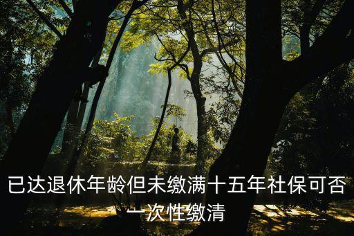 已達(dá)退休年齡但未繳滿十五年社?？煞褚淮涡岳U清