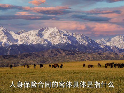 保險(xiǎn)合同的客體，保險(xiǎn)合同的主體客體和載體分別是什么