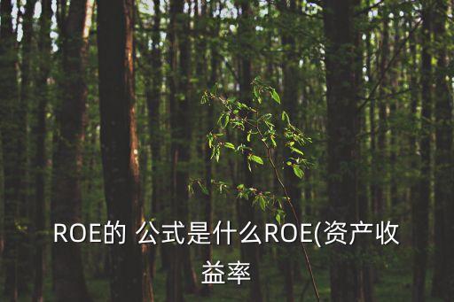 roe計(jì)算公式,ROE計(jì)算公式是什么