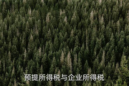 預(yù)提稅，預(yù)提稅費的賬務(wù)處理