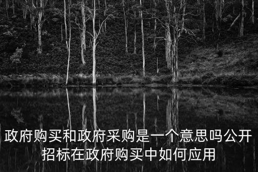 政府購(gòu)買(mǎi)和政府采購(gòu)是一個(gè)意思嗎公開(kāi)招標(biāo)在政府購(gòu)買(mǎi)中如何應(yīng)用