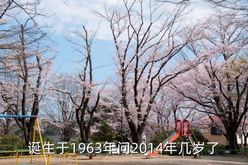 誕生于1963年問2014年幾歲了