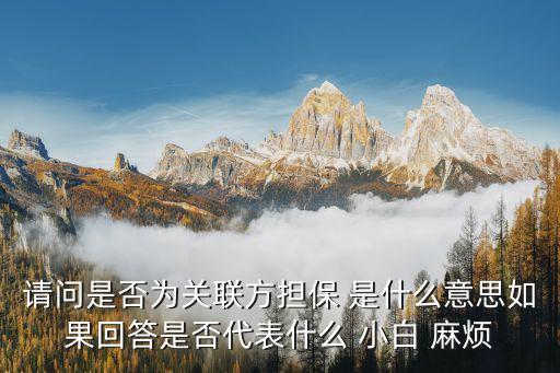 請問是否為關(guān)聯(lián)方擔(dān)保 是什么意思如果回答是否代表什么 小白 麻煩