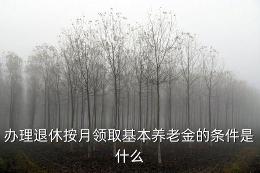 退休金領(lǐng)取條件及標(biāo)準(zhǔn)，養(yǎng)老金的發(fā)放標(biāo)準(zhǔn)是什么