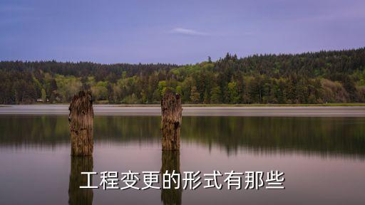 工程變更的形式有那些