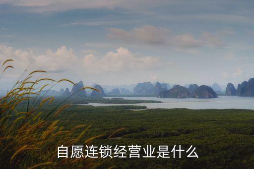 自愿連鎖經(jīng)營業(yè)是什么