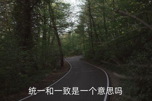 統(tǒng)一和一致是一個(gè)意思嗎