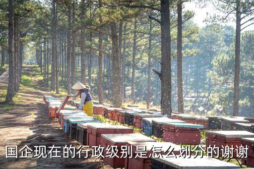 國企行政級別，國企員工有行政級別嗎