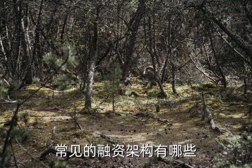 融資結構，常見的融資架構有哪些