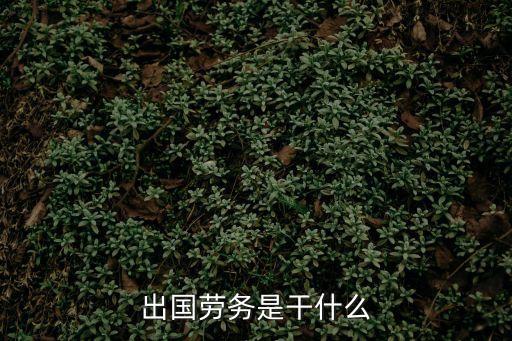 勞務(wù)是什么工作，勞務(wù)工和正式員工之間的區(qū)別是什么