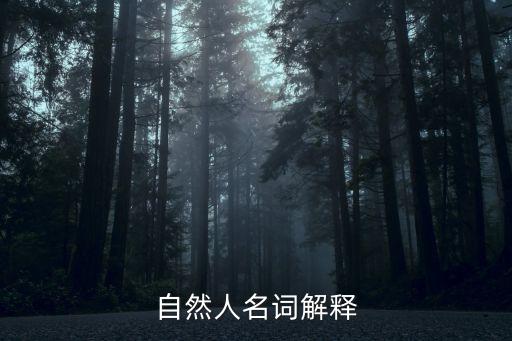 自然人名詞解釋