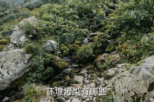 污染環(huán)境有哪些，生活中的環(huán)境污染有哪些最好列舉超過5個