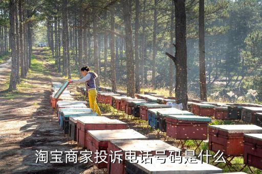 商家投訴電話，淘寶商家投訴電話號碼是什么