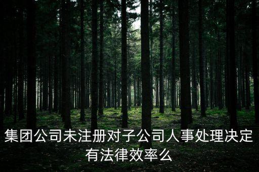 集團(tuán)公司未注冊(cè)對(duì)子公司人事處理決定有法律效率么