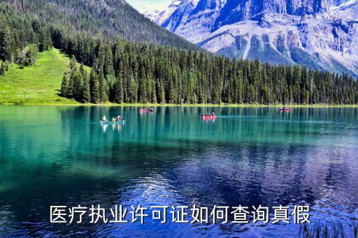 醫(yī)療許可證，醫(yī)療執(zhí)業(yè)許可證如何查詢真假