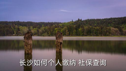 長(zhǎng)沙市社保