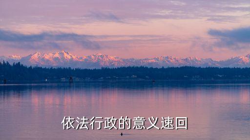 依法，依法怎么造句