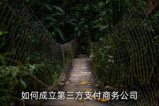 如何成立第三方支付商務(wù)公司