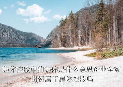 集體控股，集團和控股集團有什么區(qū)別